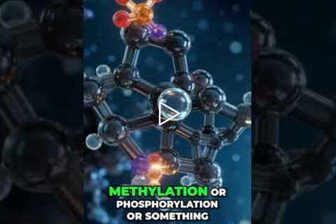 Your Liver's SECRET Detox: Phase 1 Activation Explained! #shorts